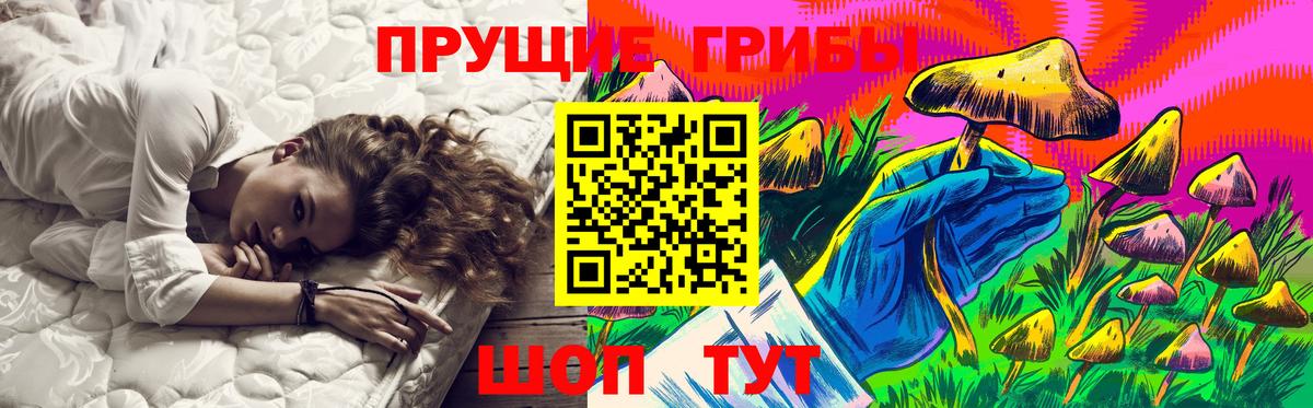 Псилоцибиновые грибы прущие грибы Малоярославец