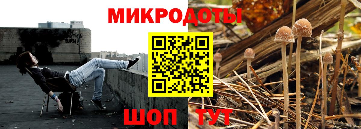 Галлюциногенные грибы Psilocybe  Вход с VPN  Малоярославец 
